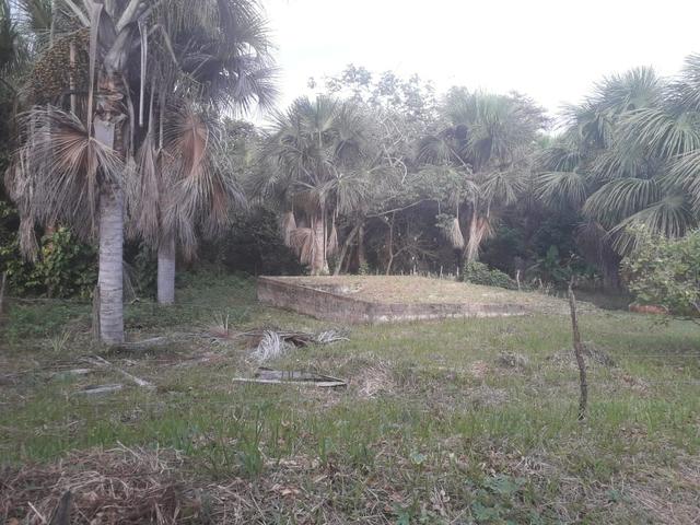 Vende-se um sítio no itaparí -panaquatira - Foto 3