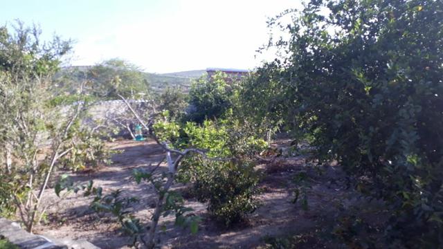 Chácara com excelente localização em Gravatá (Cód.: 161h9) - Foto 14