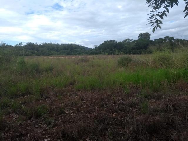 Terreno na Rodovia Ilhéus/Itabuna km 07 - Banco da Vitória - Foto 4