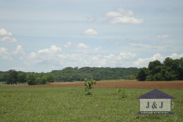 Fazenda município de Edealina - GO! Agende sua visita !!! - Foto 5