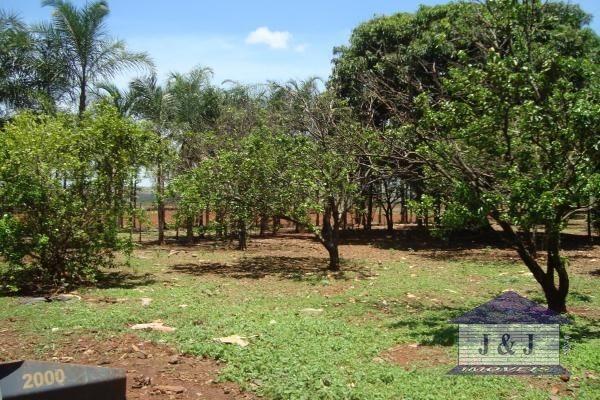 Fazenda município de Edealina - GO! Agende sua visita !!! - Foto 13