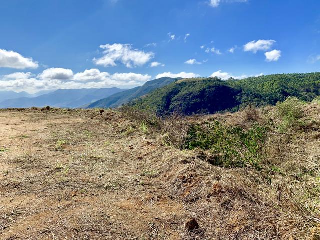 Sítio vista linda em Santa Teresa circuito Caravaggio - Foto 7