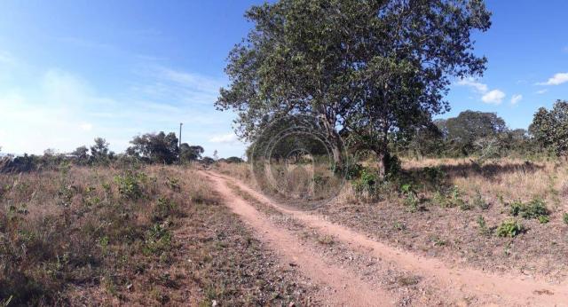 Chácara 7 hec na beira do asfalto estrada do manso à venda por r$ 120.000,00 - Foto 3