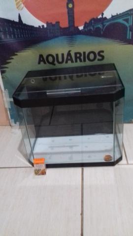 Aquários, Móveis, sob medida, luminárias, acessórios, rações - Foto 5