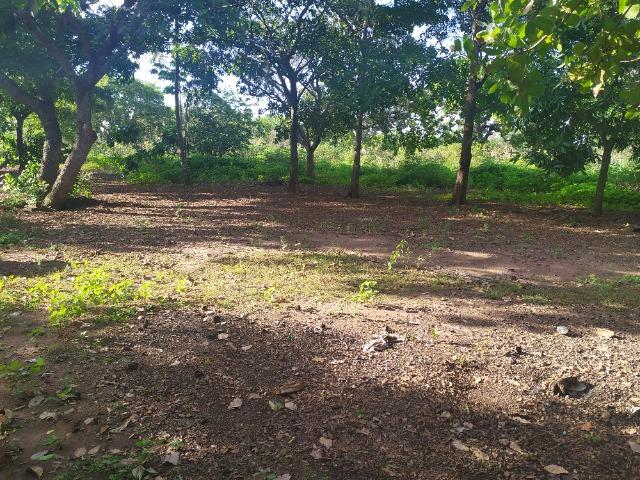 Chácara a Venda! - Foto 7