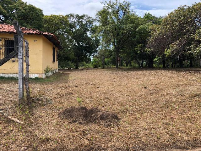 Vendo Sítio no Timbuba - Foto 2