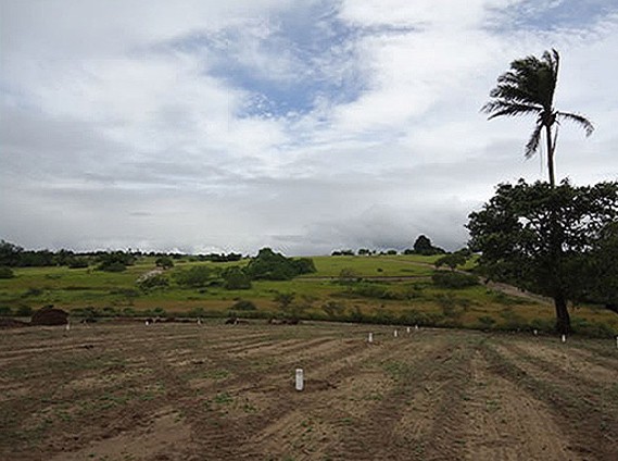 Lotes em São Gonçalo dos Campos