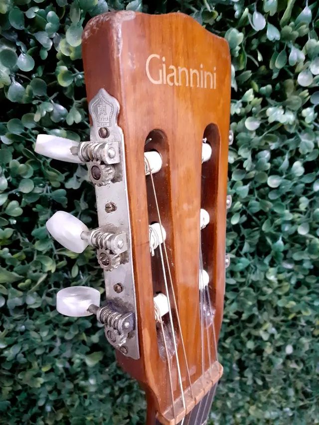 Giannini awn store 70