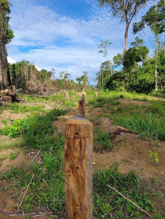 VENDO 100 ALQUEIRES NA VILA DO SAMUEL - Foto 12