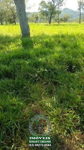 Fazenda  700 Alqueires no Tocantins com Maquinários - Foto 4