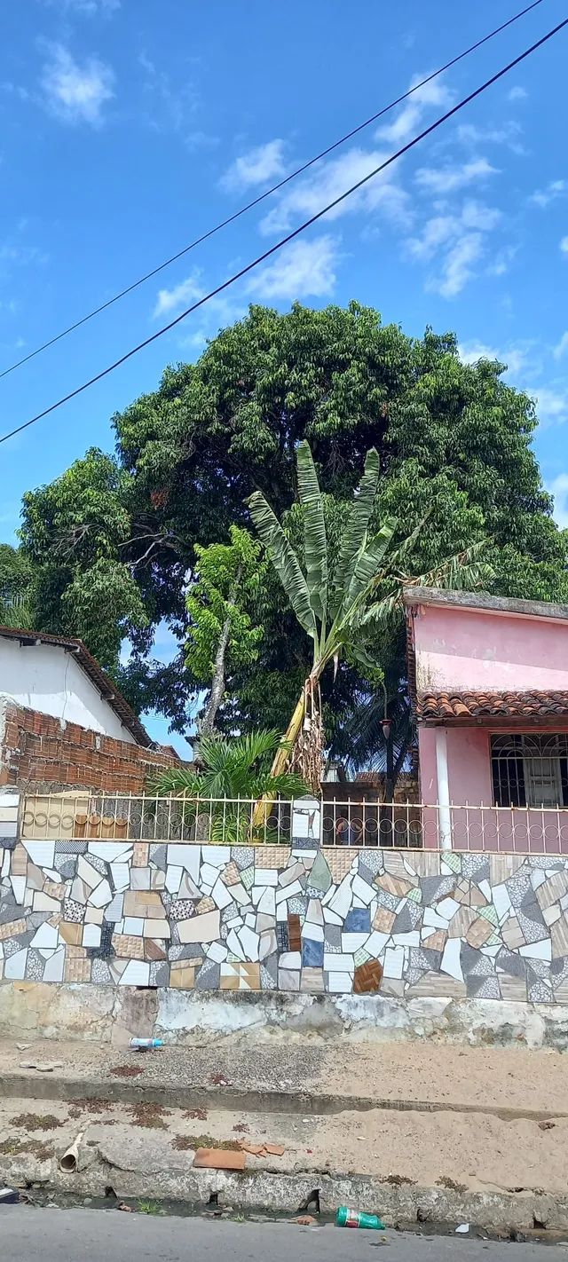 Poda de árvores ? limpeza de coqueiros e remoção do material  *  - Foto 4