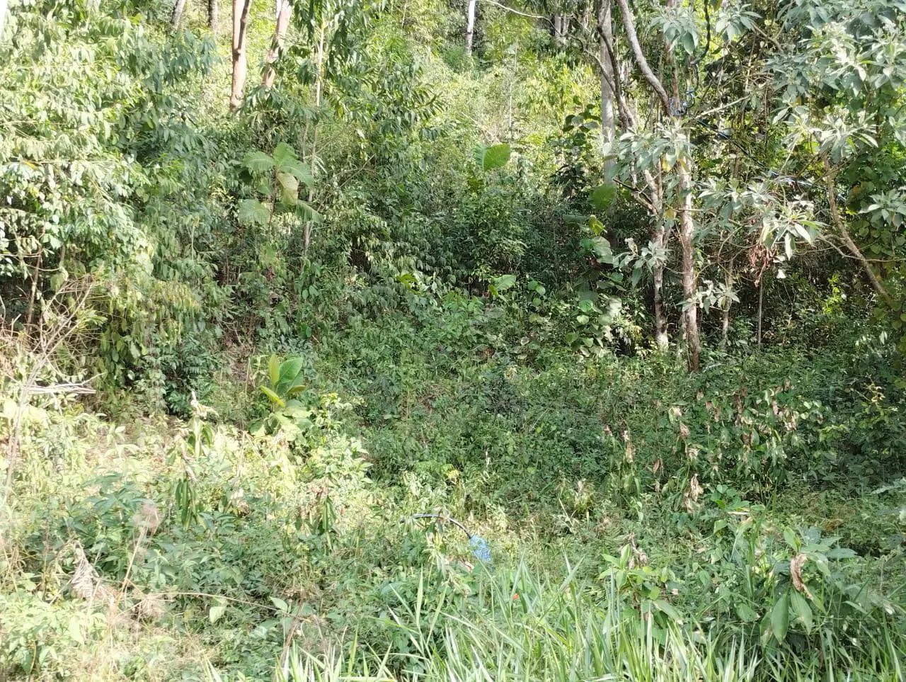 3 mil mts pe na agua na mais linda represa da região  - Foto 3