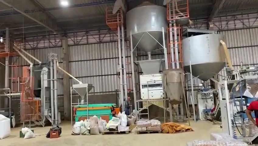 Indústria/Engenho/Beneficiamento de Feijão - Foto 5