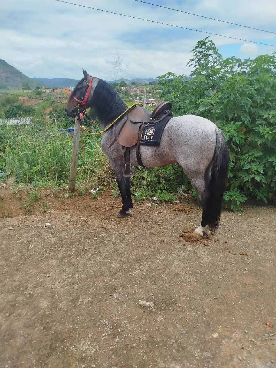 TROCO POR MOTO XRE ACIMA DE 2017 - Foto 3