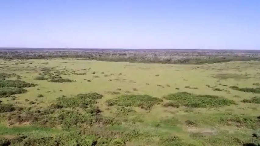 Fazenda 850 ha à Venda no Pantanal - Paraíso de Pesca, Ecoturismo e Pecuária