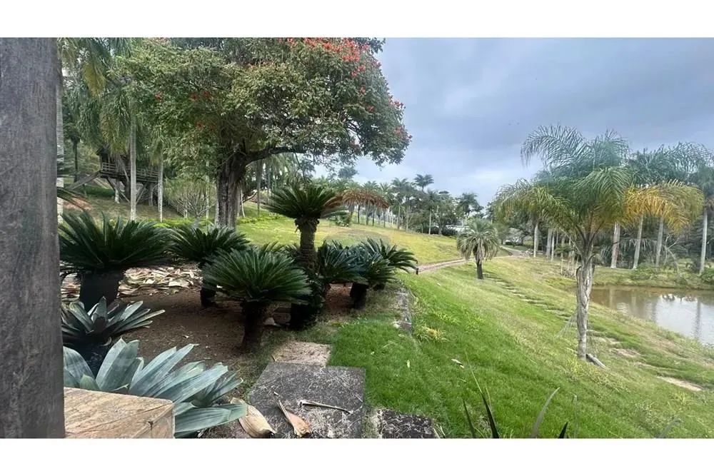 Fazenda Boa Esperança  Guarará/MG  Beira de Asfalto  Porteira Fechada - Foto 10