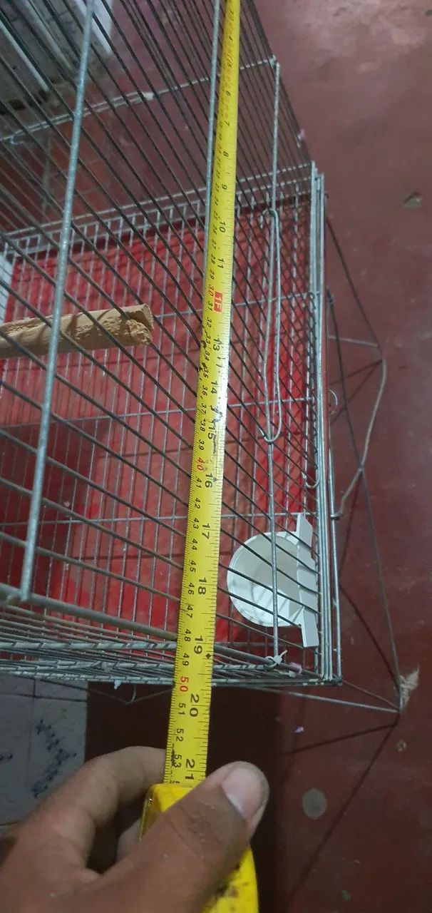 Gaiola grande  - Foto 3