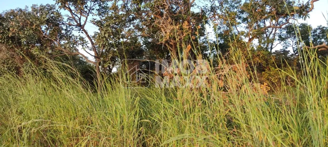 Chácara escriturada DF 140 - 2 ha - Mansões Fazendarias - TORORO - Foto 11