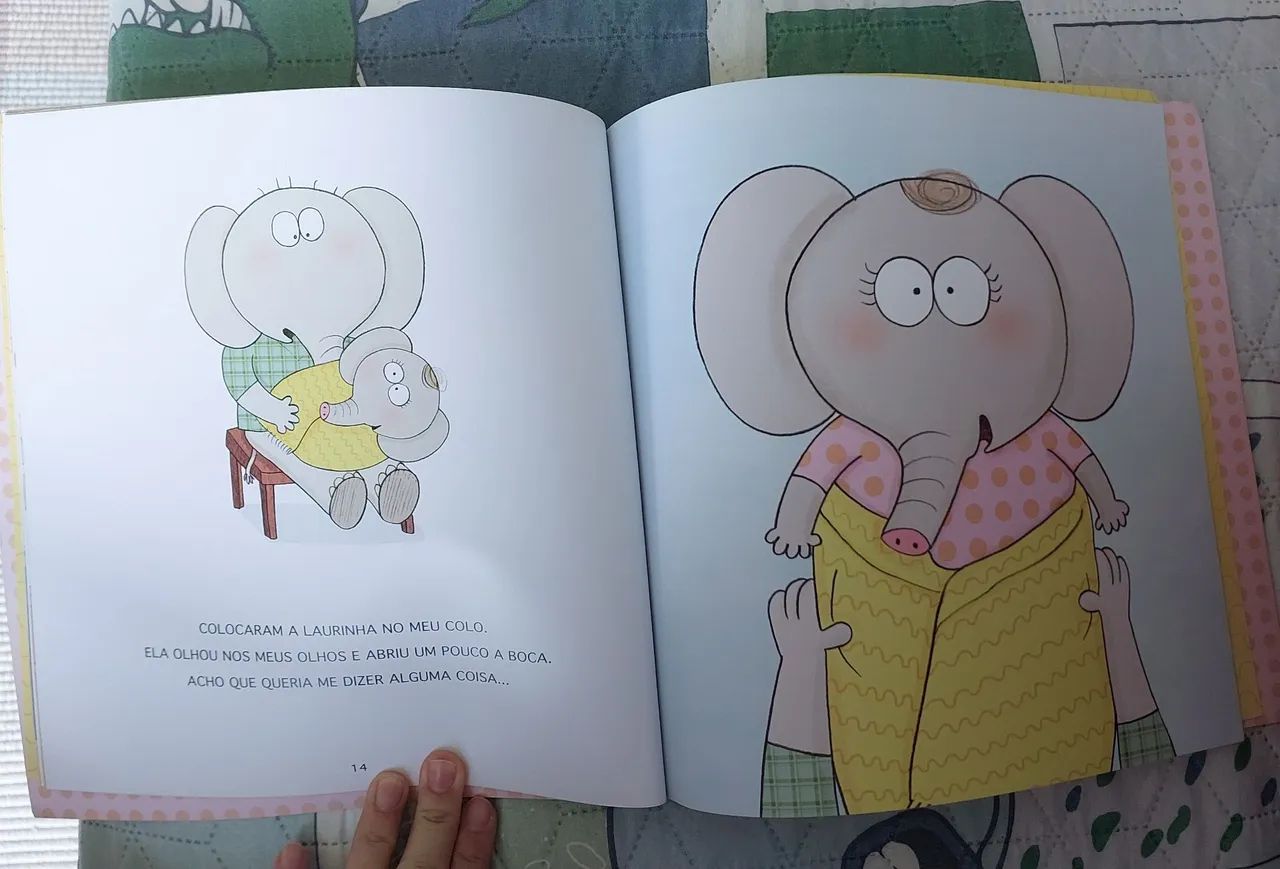 Livro - a irmã do Gildo  - Foto 2