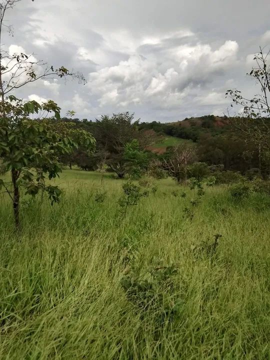 Terreno com 5 hectares - Foto 3