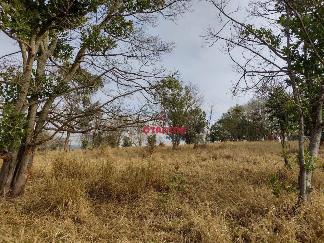 Terreno à venda, 20832 m² por R$ 1.100.000 - Barreiro - Taubaté/SP - Foto 9