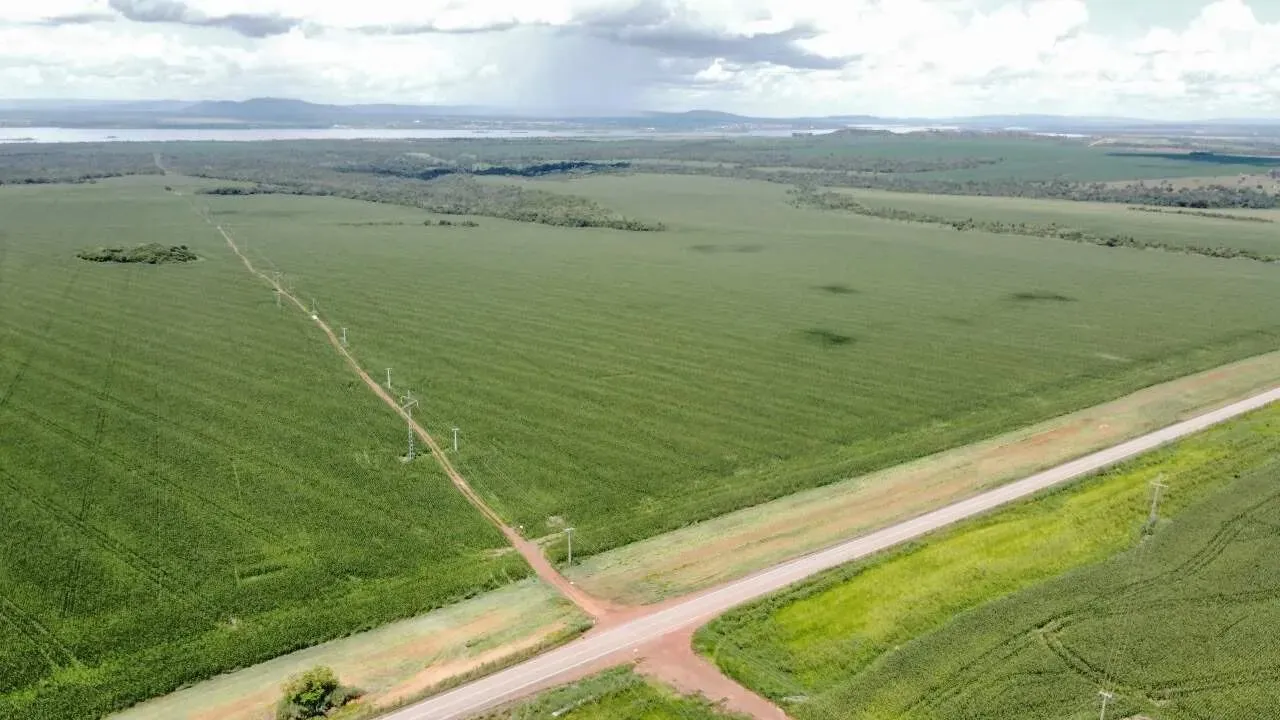 Fazenda - Porto Nacional