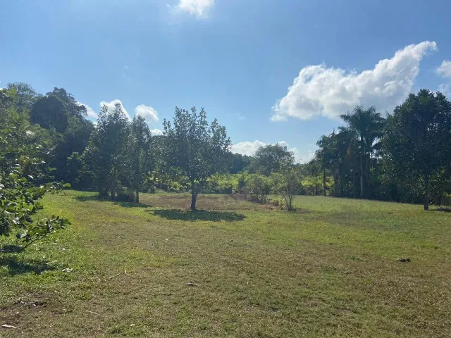 ? SITIO COM NASCENTE, TRATOR, LAGO E TANQUE DE PEIXES