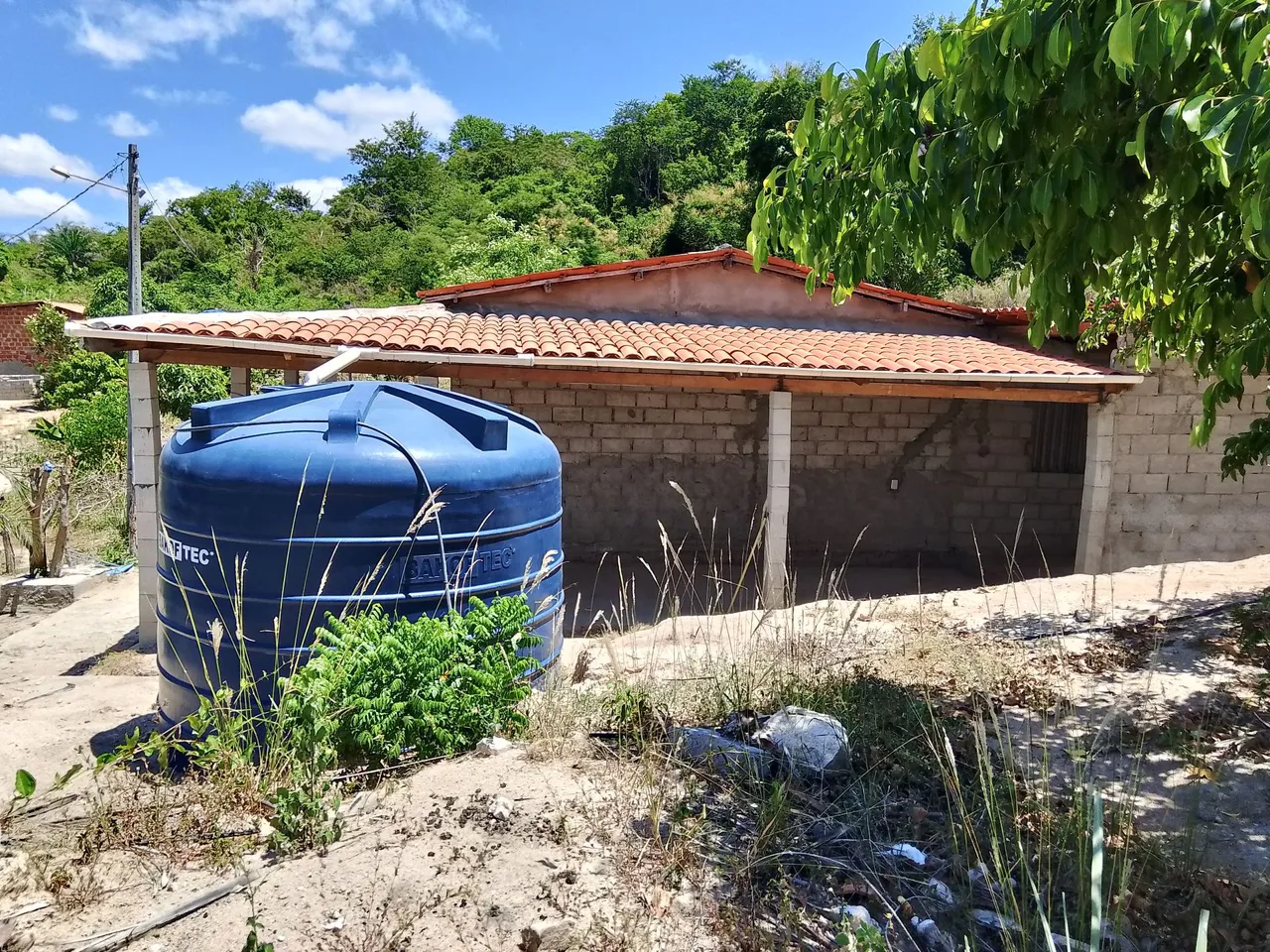 Jardim com plantas e tanque d'água