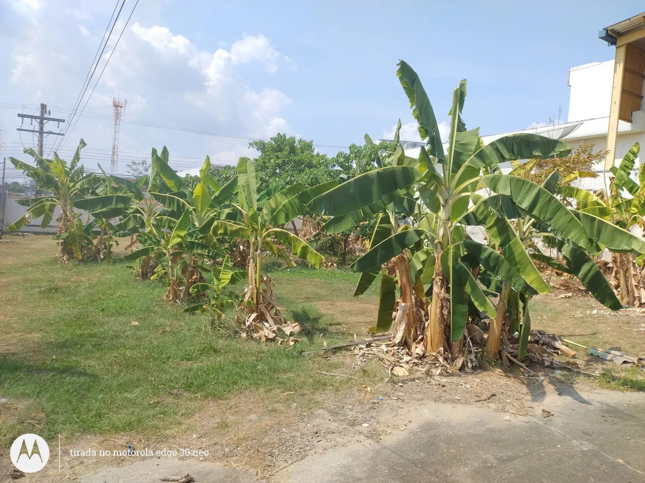 Cachoeirinha / Terreno 3.588