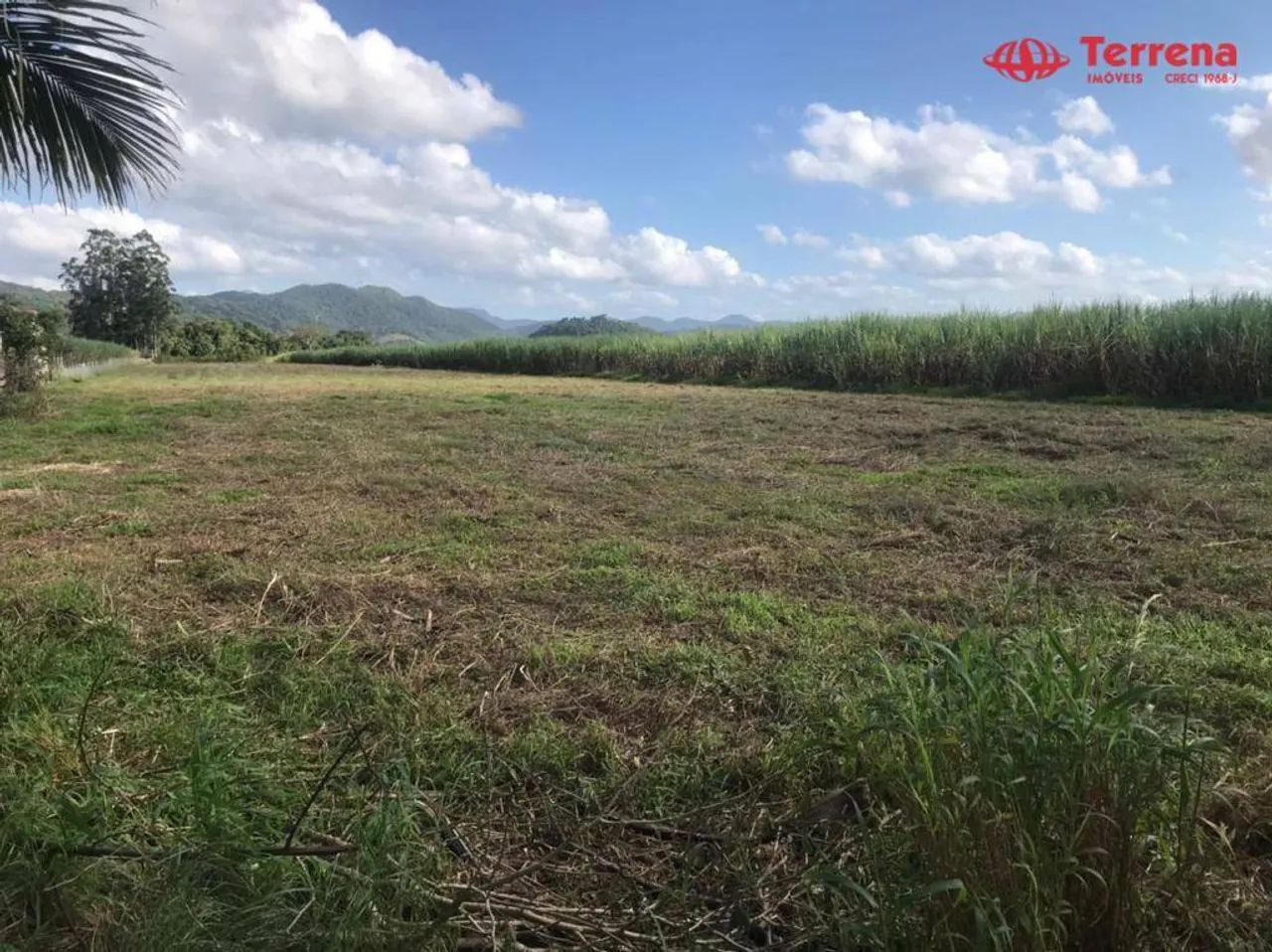 Terreno, 55000 m² - Venda ou Aluguel - Sete de Setembro - Gaspar/SC - Foto 2