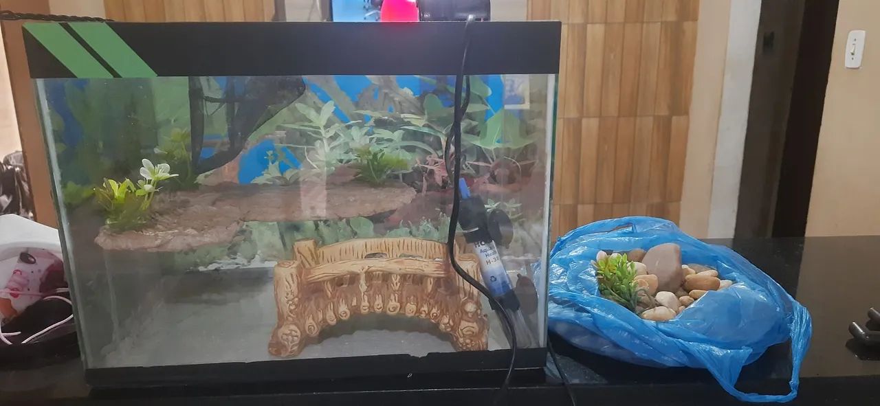Aquário completo com acessórios - Foto 4