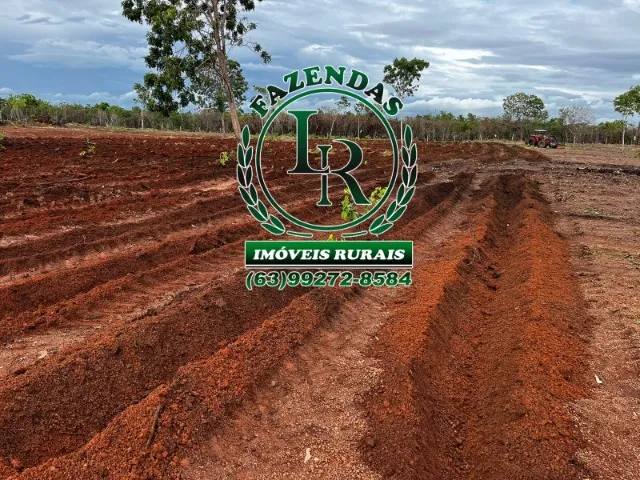 Fazenda 460 alqueires Dupla Aptidão