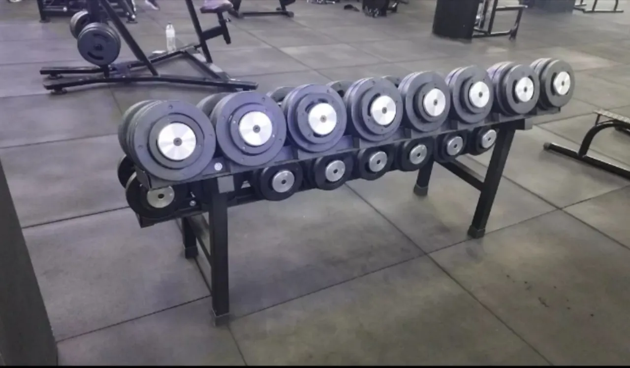 Kit Dunbell Pares de 12 a 30kg com suporte 