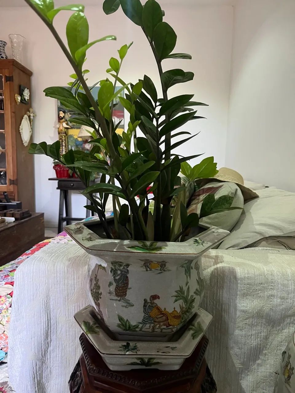 Vaso c/ prato e com  planta Zamioculca cerâmica faiança 