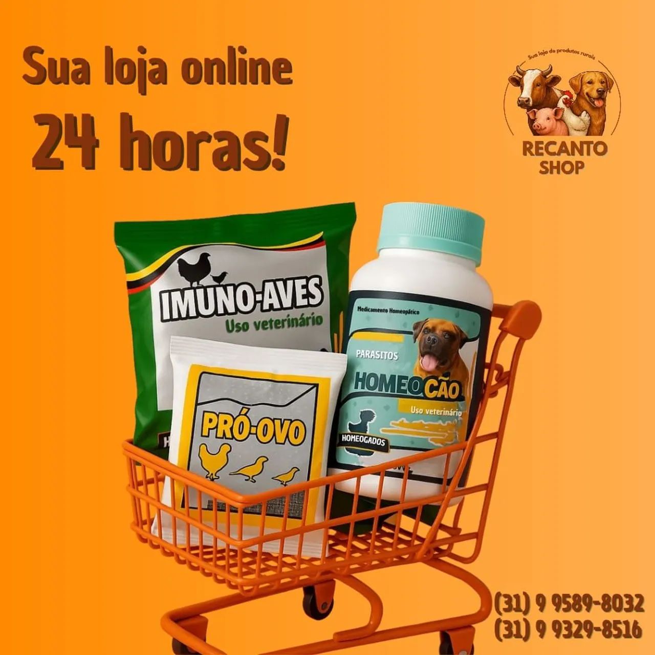 Stimo-Vet: estimula a imunidade e a recuperação do organismo - Foto 2