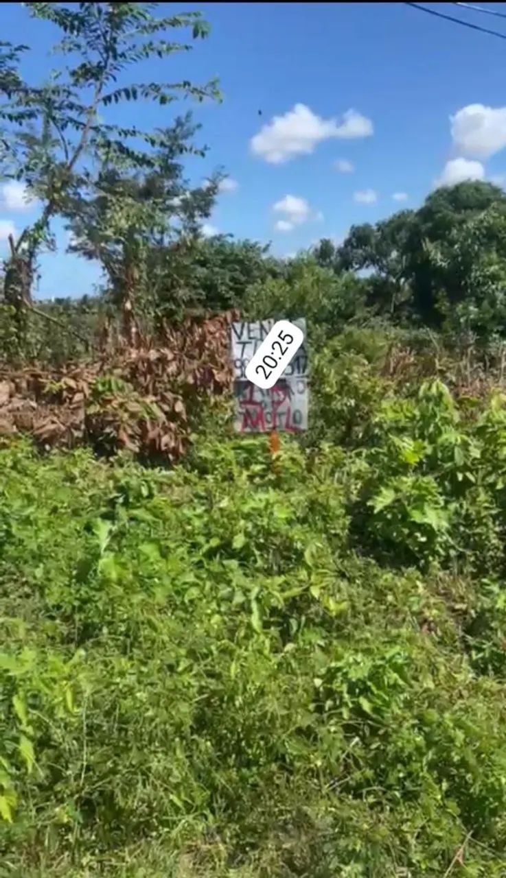 Foto - Nossa Senhora do Socorro - Taiçoca de Dentro