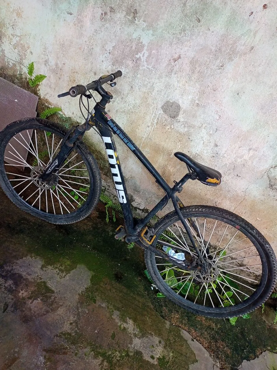 Bicicleta Lotus aro 29