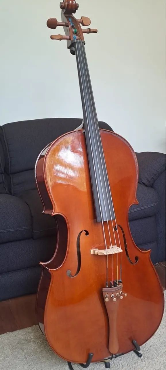 Violoncelo Eagle - CE200