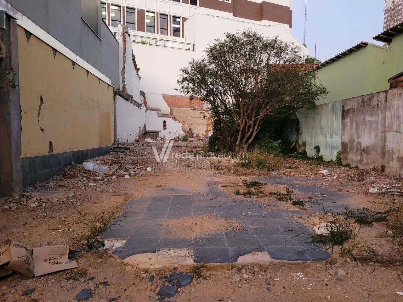 terreno - Cambuí - Campinas - Foto 3