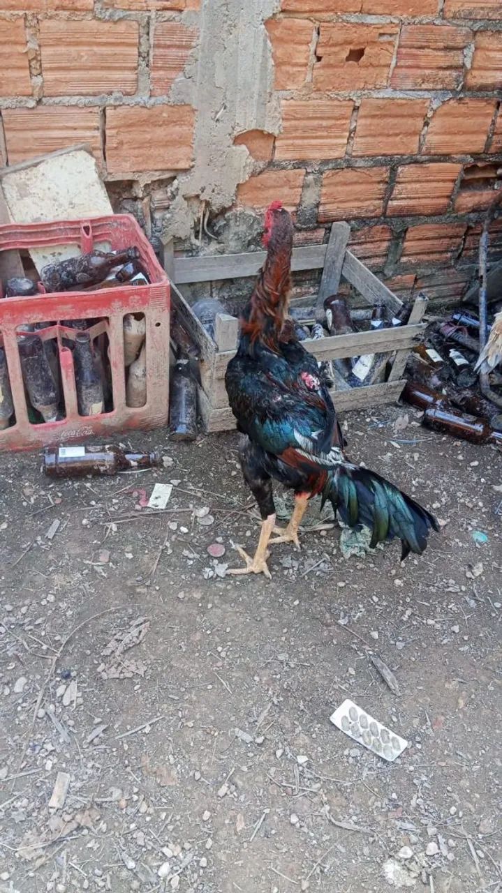 Vendo $200 - Foto 4