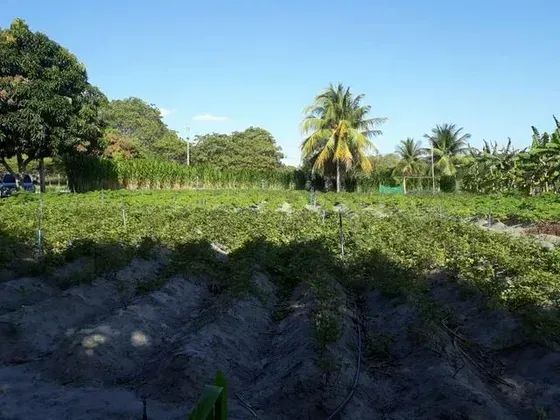 Granja com 1.5 hectares em lagoa salgada