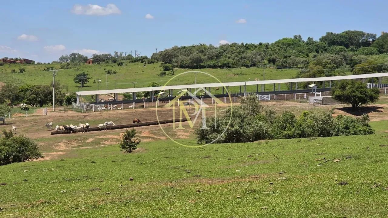 Sítio à venda, Rural, Cesário Lange, SP - Foto 4