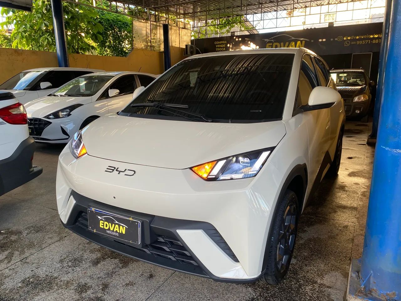BYD Dolphin Mini (Elétrico) 2027 - Foto 3