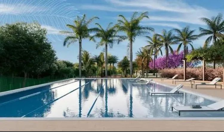 Jardins Miami 312 m - Foto 4