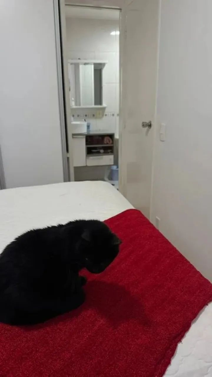 Apartamento para Venda em Campinas, Parque Itália, 2 dormitórios, 1 banheiro, 1 vaga - Foto 9