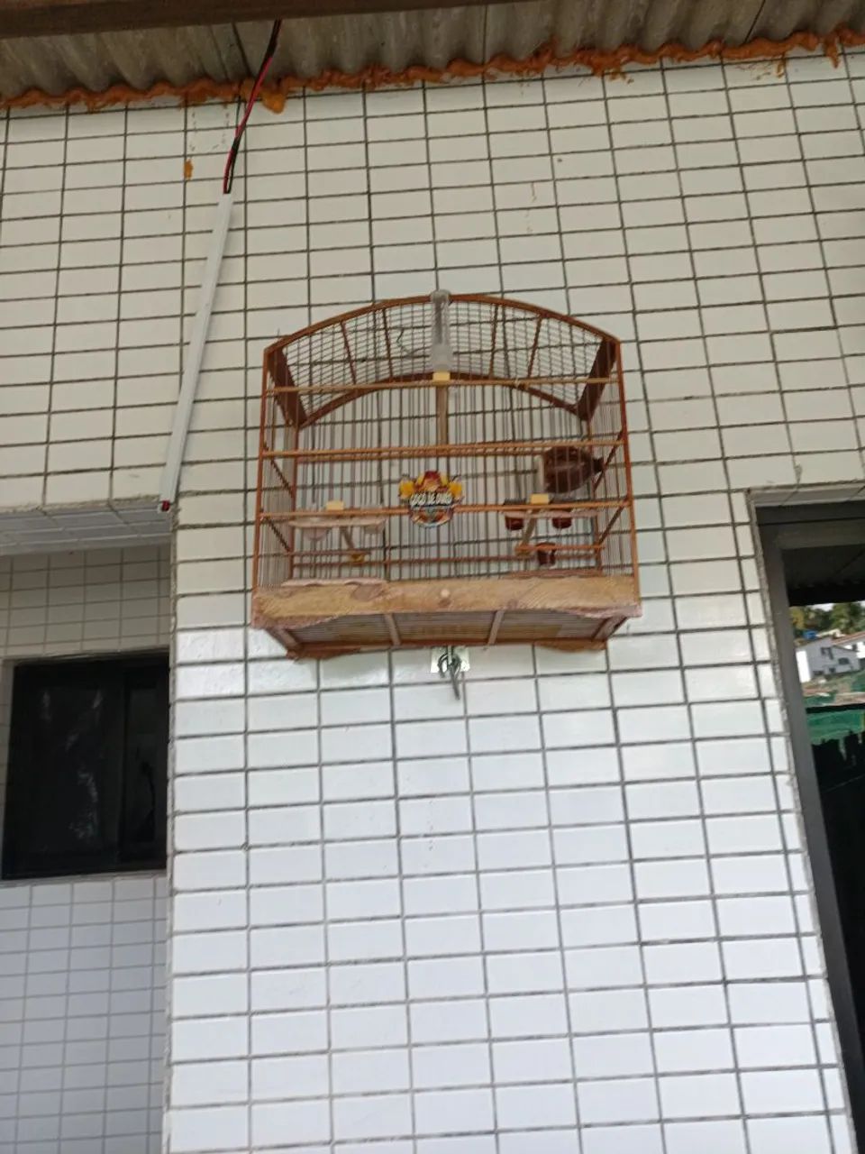 Gaiolas baianinha grande  - Foto 3