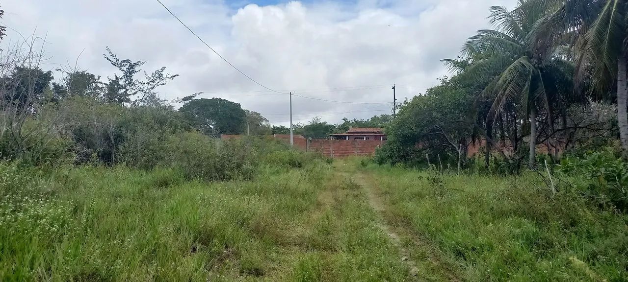 Terreno  - 2.000m2 - Escriturado  - Foto 5