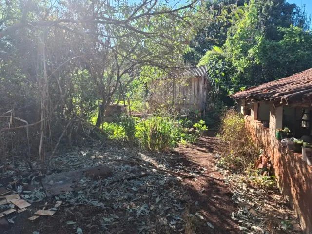 Chácara 5100m² Próximo a Ivaiporã PR, acesso com estrada pavimentada. - Foto 5