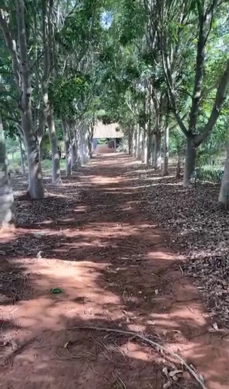 Vendo chácara Aragoiania  - Foto 2