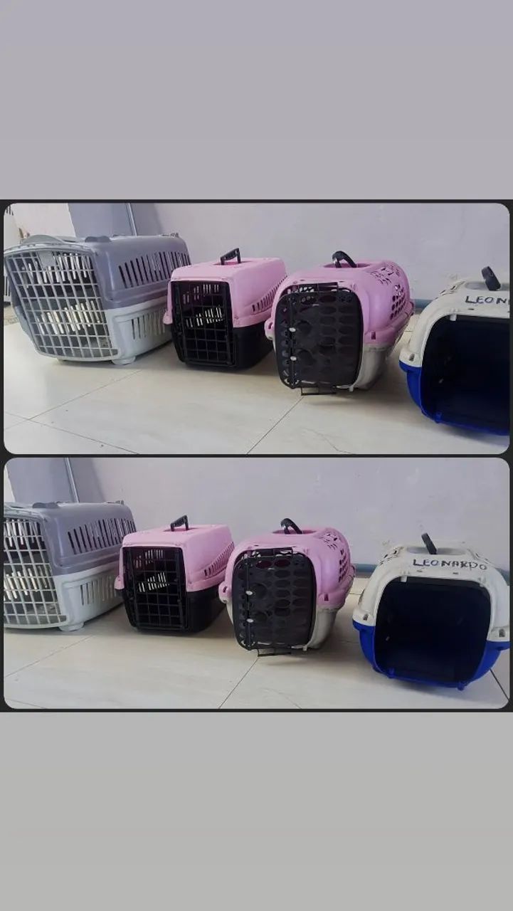 Banho e Tosa kit completo - Foto 4